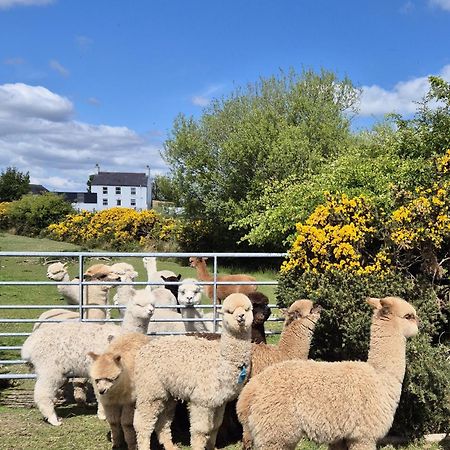 The Alpaca Farmhouse With Hot Tub And Alpaca Experience Included Dromara Exteriér fotografie