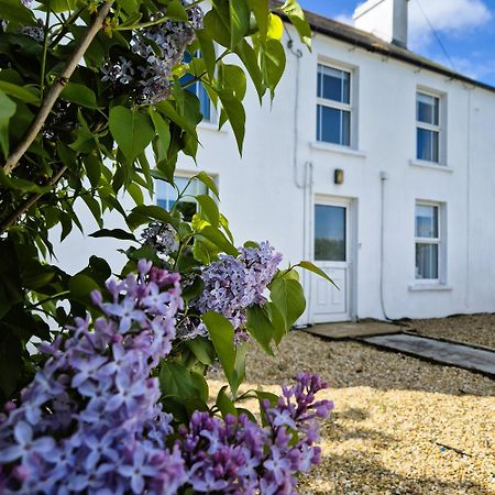 The Alpaca Farmhouse With Hot Tub And Alpaca Experience Included Dromara Exteriér fotografie
