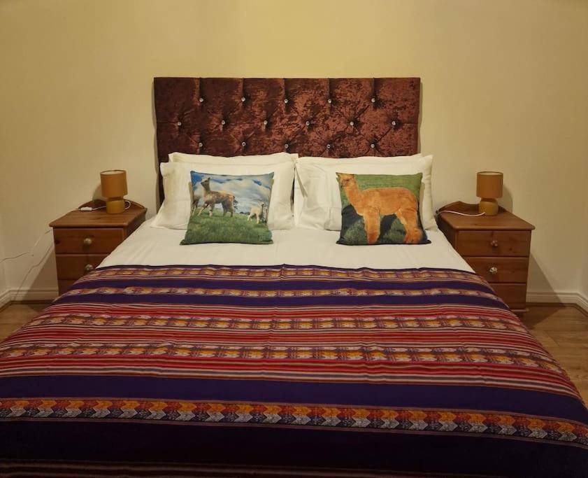 The Alpaca Farmhouse With Hot Tub And Alpaca Experience Included Dromara Exteriér fotografie