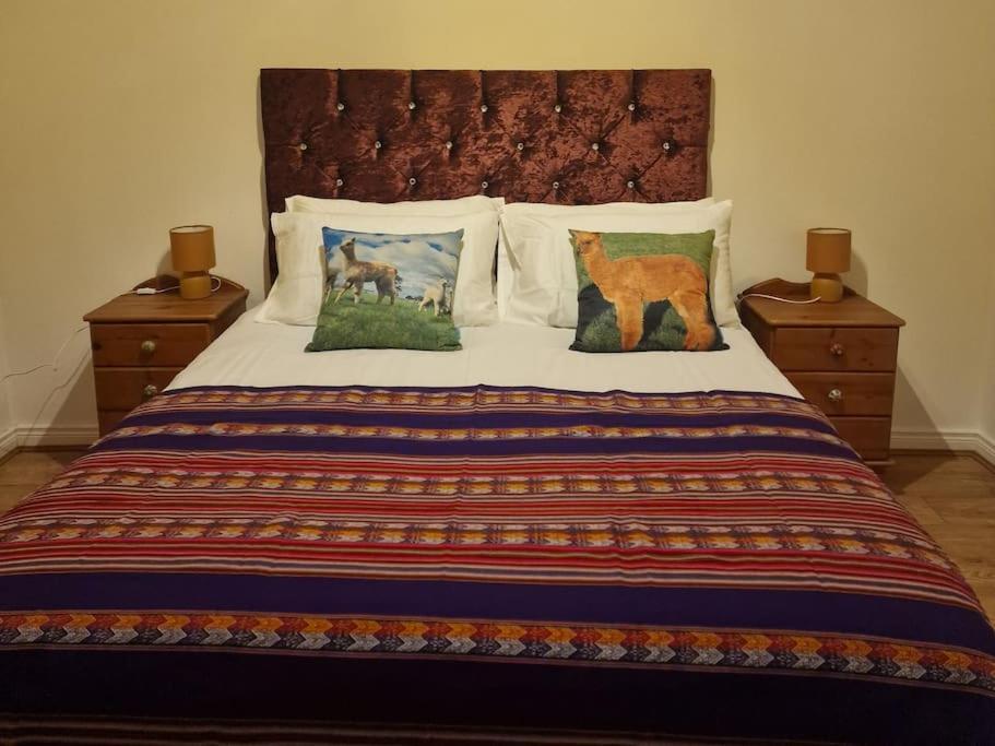 The Alpaca Farmhouse With Hot Tub And Alpaca Experience Included Dromara Exteriér fotografie