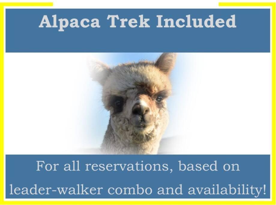 The Alpaca Farmhouse With Hot Tub And Alpaca Experience Included Dromara Exteriér fotografie