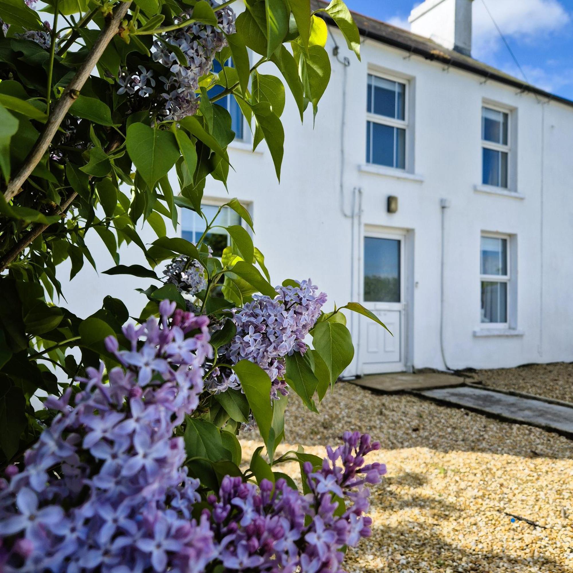The Alpaca Farmhouse With Hot Tub And Alpaca Experience Included Dromara Exteriér fotografie